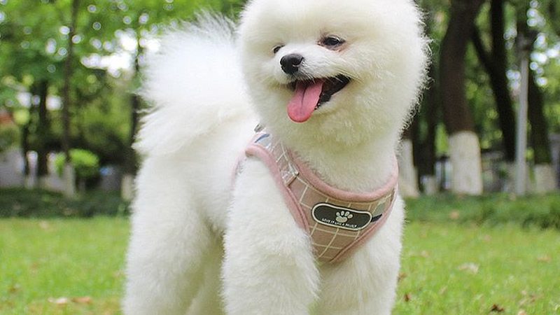 冷库安装合同范本：Word文档中的关键要素解析